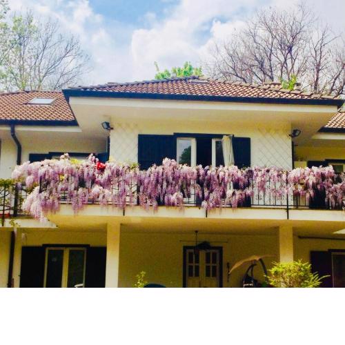B&B La libellula