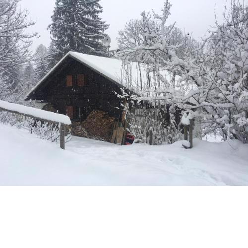 B&B La locanda delle pulci Bio Welness