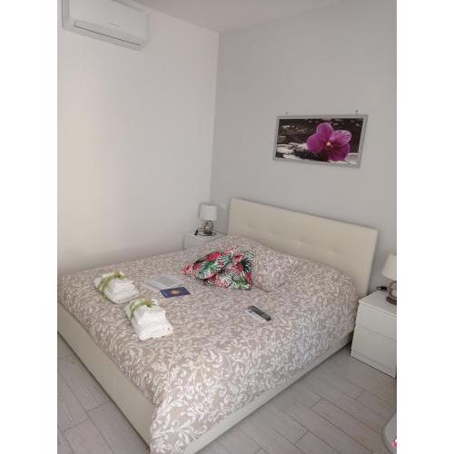 B&B La Palmetta
