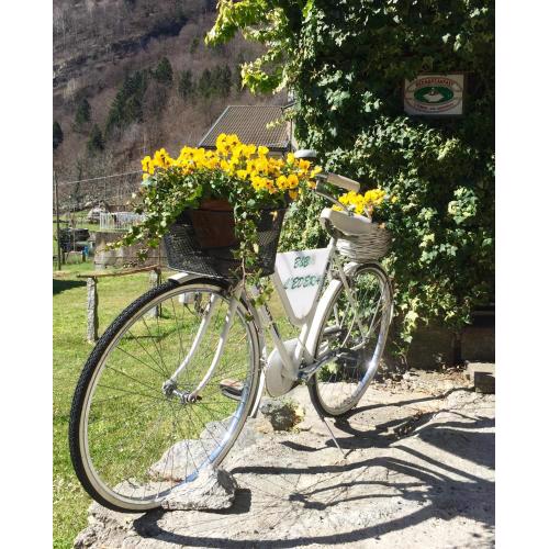 B&B L'Edera