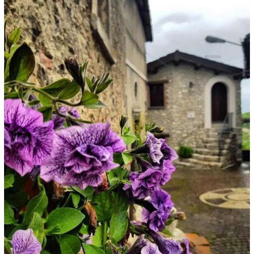 B&B Leofreni Natura