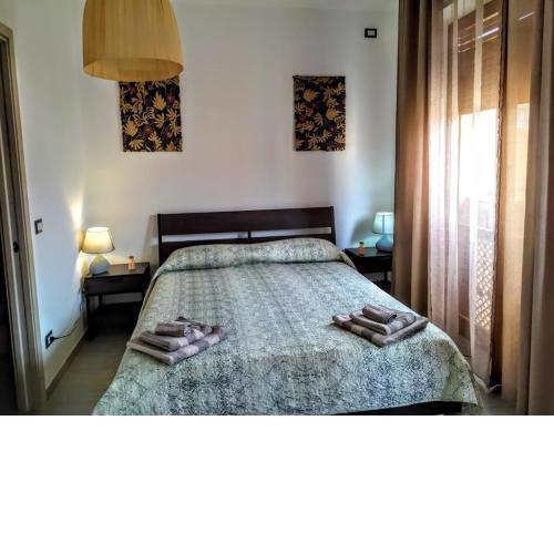 B&B Libellula