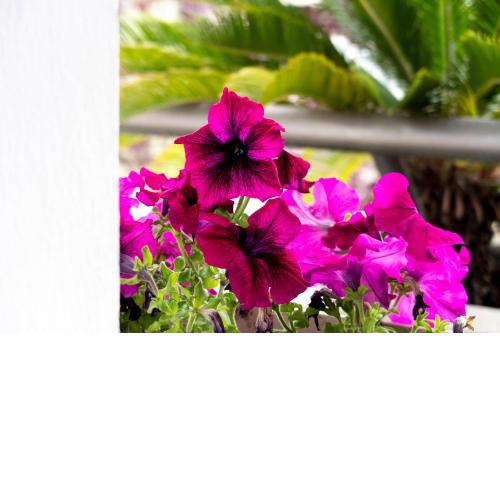 B&B Meraviglie D'Abruzzo Montesilvano