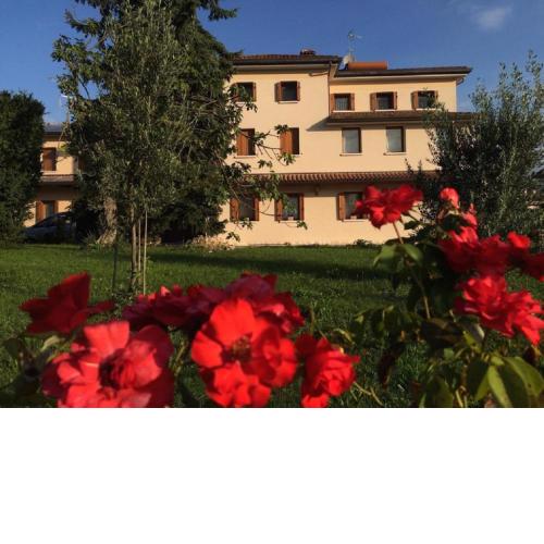 B&B Mirò