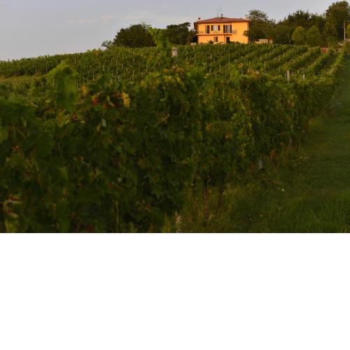 B&B Quattro Stagioni