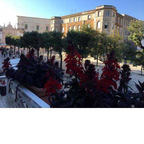B&B San Martino