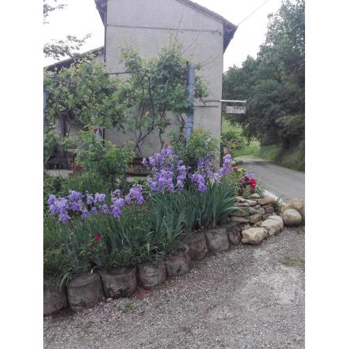 B&B San Nicola