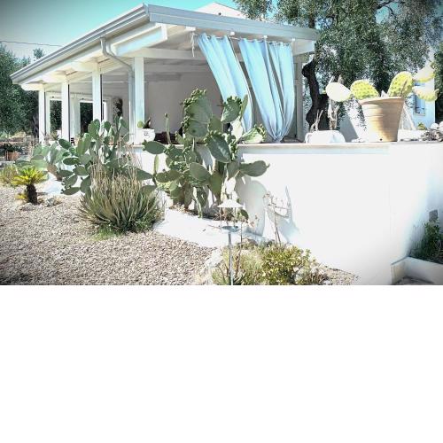 B&B Sperlonga