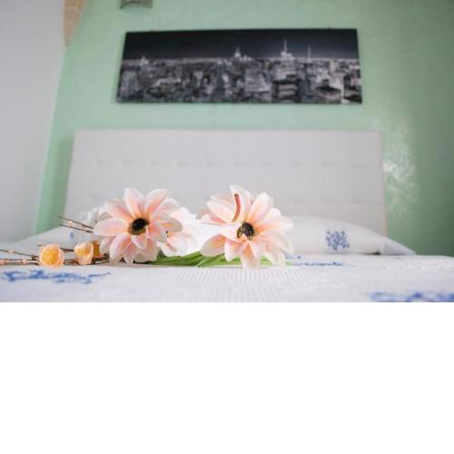 B&B Stella Polare