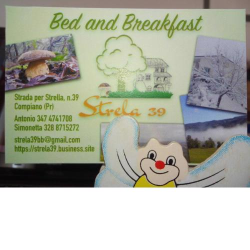 B.B. STRELA 39