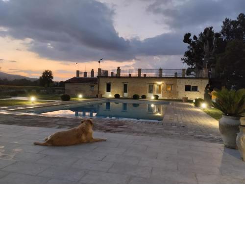 B&B Tenuta Filippi