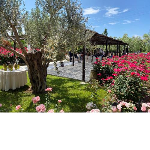 B&B Terre di Paestum