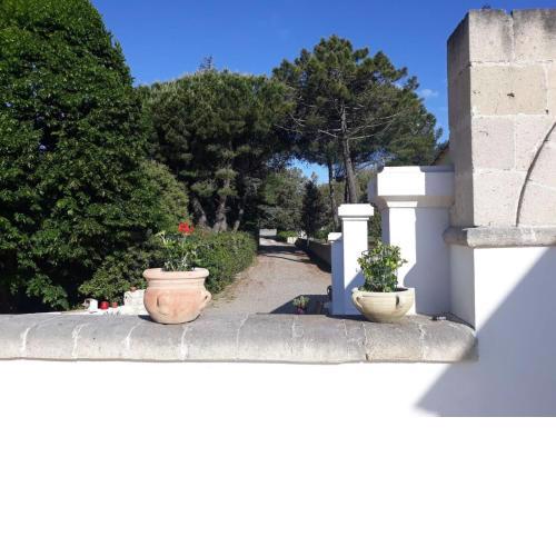 B&B Trulli e Mare