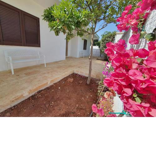B&b Tuamotu