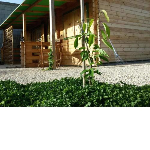 B&b Ventuno IUN0058