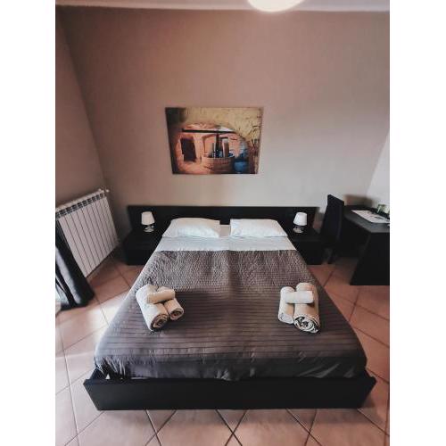 B&B Verdeoliva