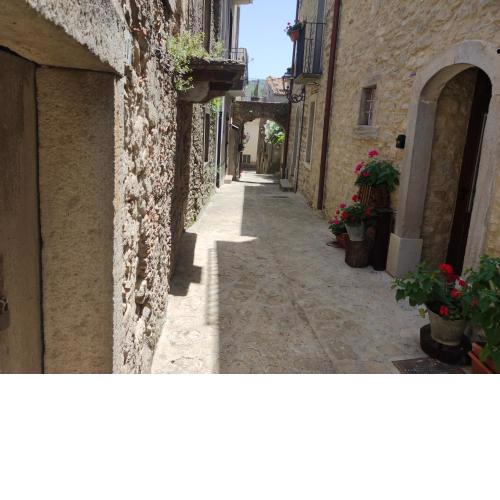 B&b Villa Argimusco