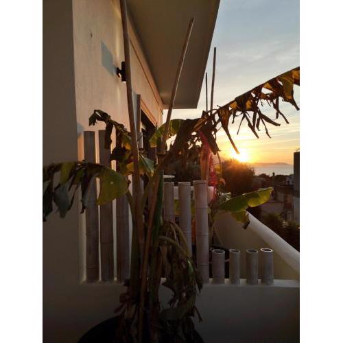 B&b Villa Rosalia
