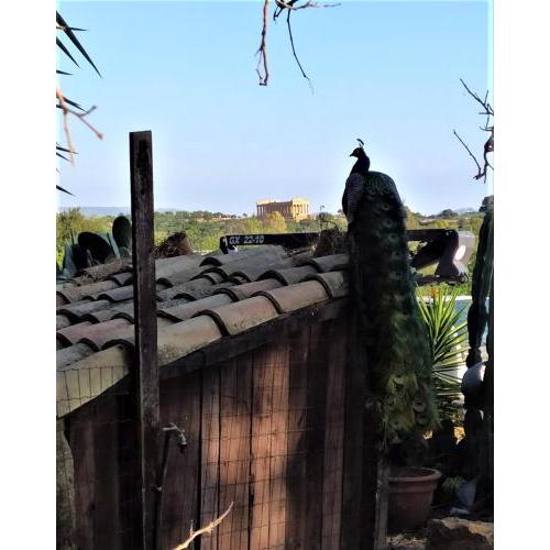 B&B Villa San Marco