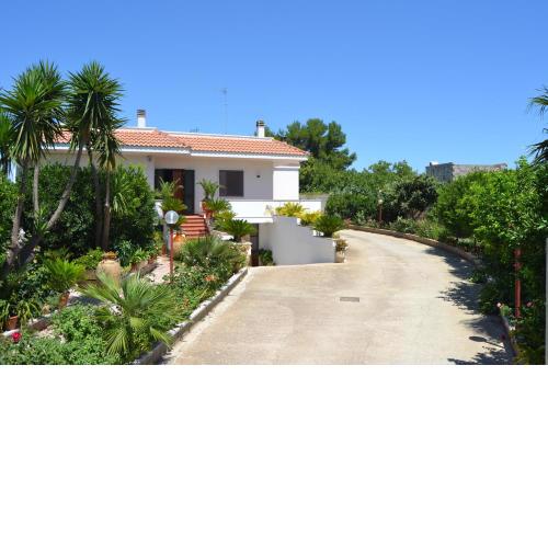 B&B Villa Sitrie