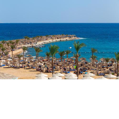 Beach Albatros The Club
