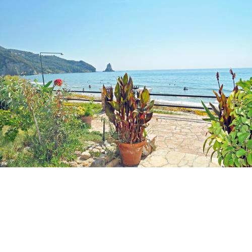 Beach house Yannis 3 in Agios Gordios Beach on Corfu