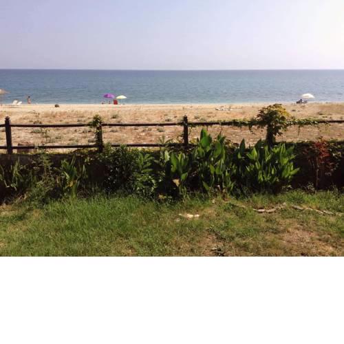 Beach House