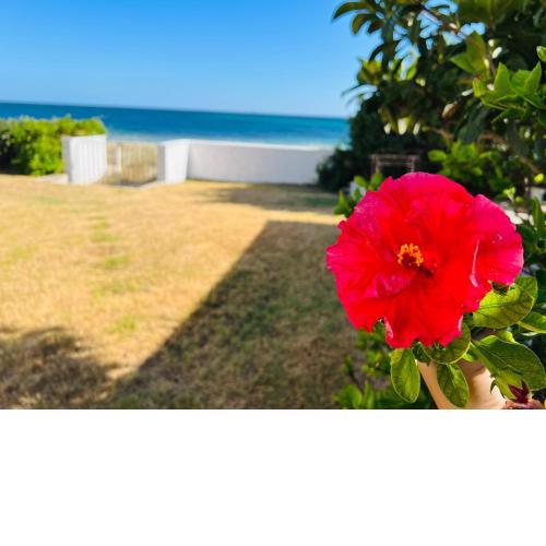 Beach Loft Poetto
