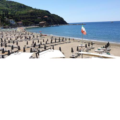 BEACH PARADISE