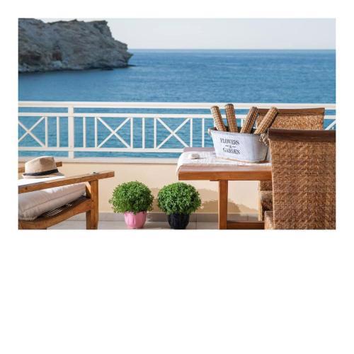 Beach Suite - Red