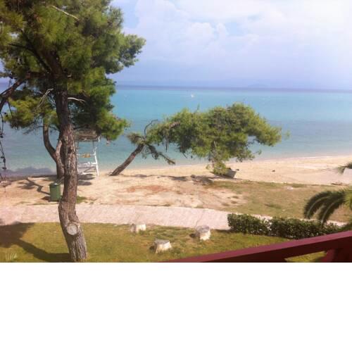 Beachfront apartment