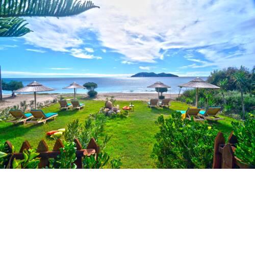 Beachfront Elena Villa with mini pool and spa