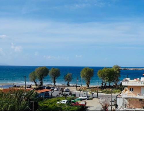 Beachfront Lux Apartments & Gym 1