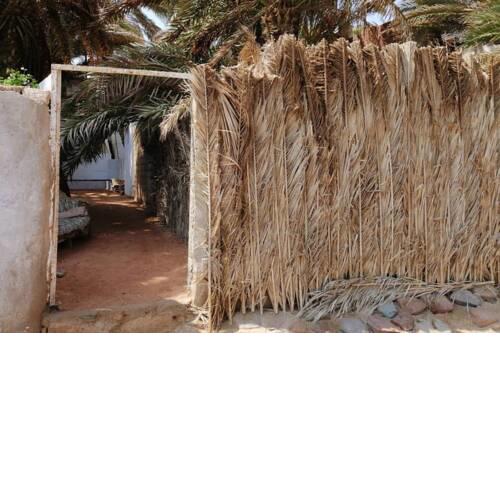 Beachside cozy studio