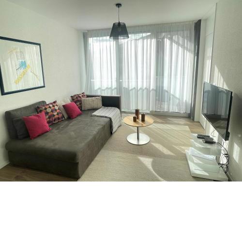 Beautiful and cosy apartment with lake view in Vevey Montreux