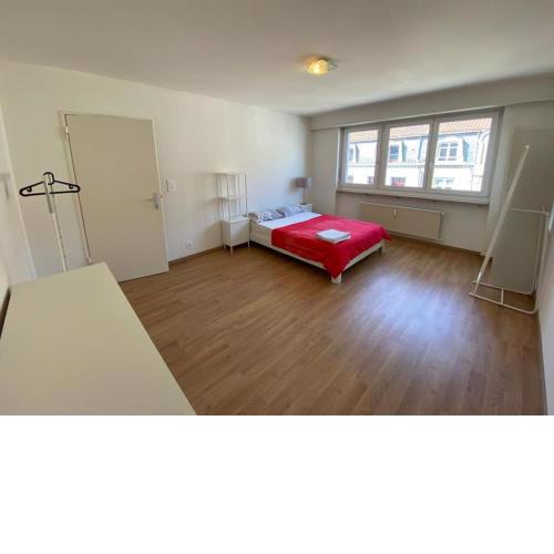 Beautiful Apartment in Center of Küblis