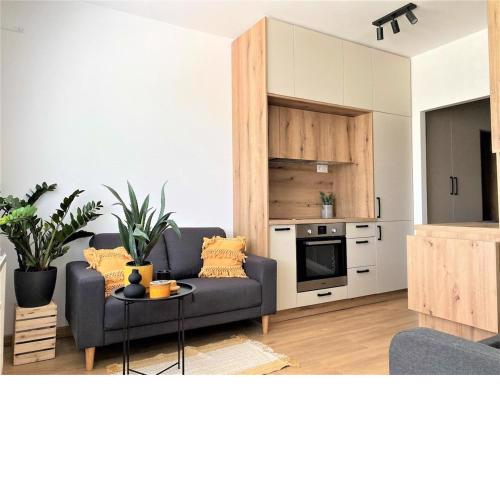 Beautiful apartment near the city center