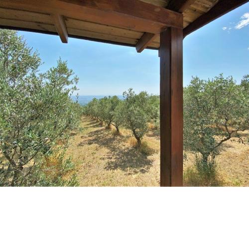 Beautiful bungalow in Capraia e Limite with shared pool