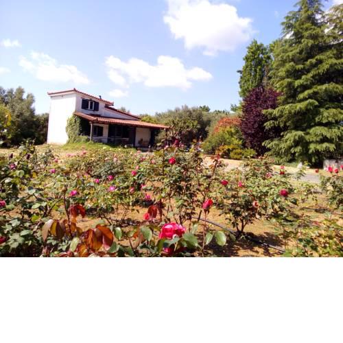 Beautiful cottage with a rose garden