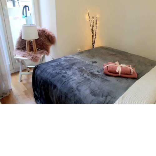 Beautiful cozy studio in heart of Prague