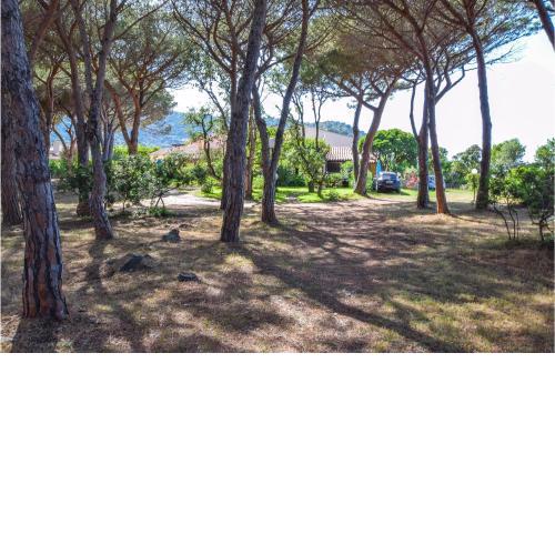Beautiful home in Budoni with 1 Bedrooms and WiFi