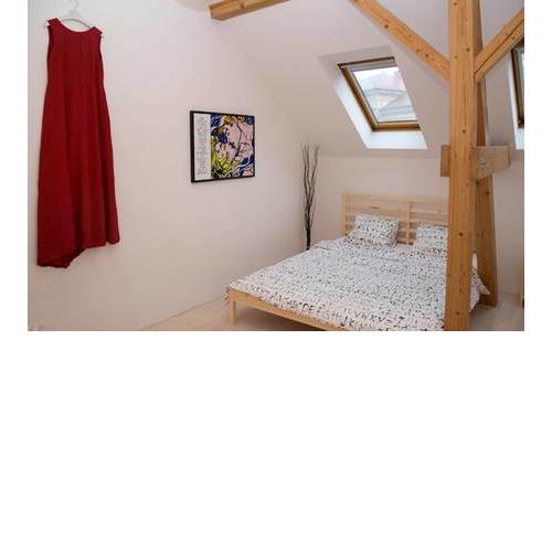 Beautiful loft apartment in Prague 3