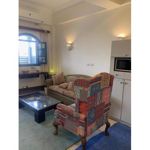 Beautiful One Bedroom Fully Furnished Apartment