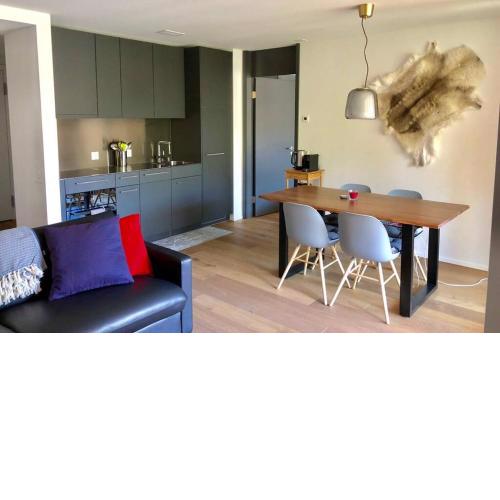 Beautiful Sunny New 1 Bed Apt (2.5Zim). Ski in/out