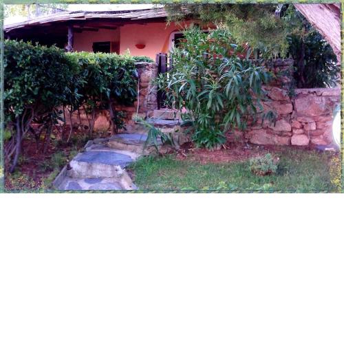 Beautiful Villa With Sea View to Porto Cervo