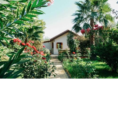Beautiful Village Bungalow