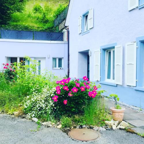Bed and Breakfast 57