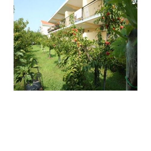 Bed and Breakfast Cirelli