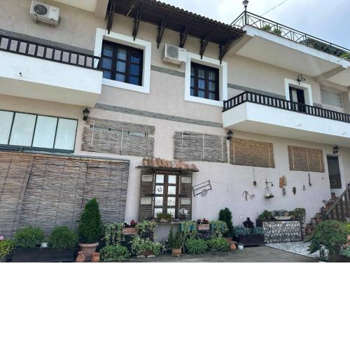 bed & breakfast Local Living Edi