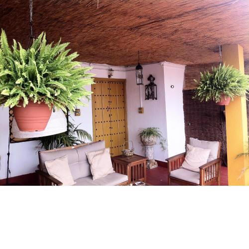 Bed & Breakfast Naranjo